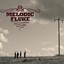 Melodic Fluke Albumcover