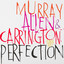 Perfection cover