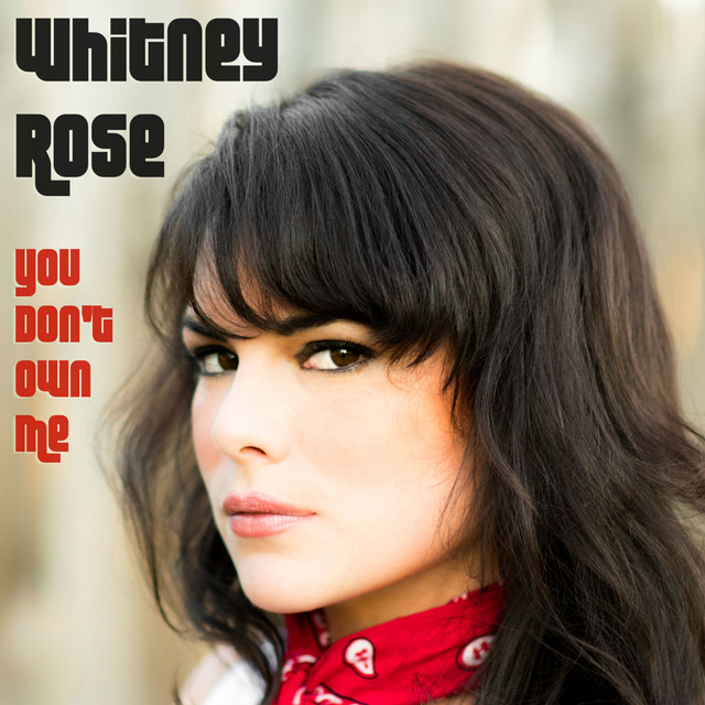 You Don't Own Me cover
