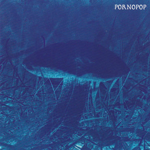Blue cover