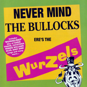 Never Mind The Bullocks cover