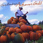 Autumn Gold Albumcover