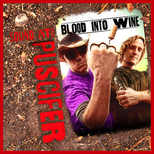 Sound Into Blood Into Wine album