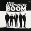 Boom cover