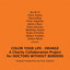 Color You Life, Orange (A Charity Collaboration Project for Doctors Without Borders) Albumcover