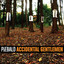 Accidental Gentleman cover