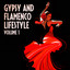 The Gypsy and Flamenco Lifestyle, Vol. 1 cover