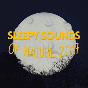 Sleepy Sounds of Nature 2017 album