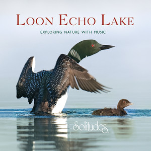 Loon Echo Lake cover