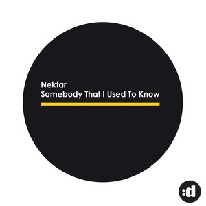 Somebody That I Used To Know album