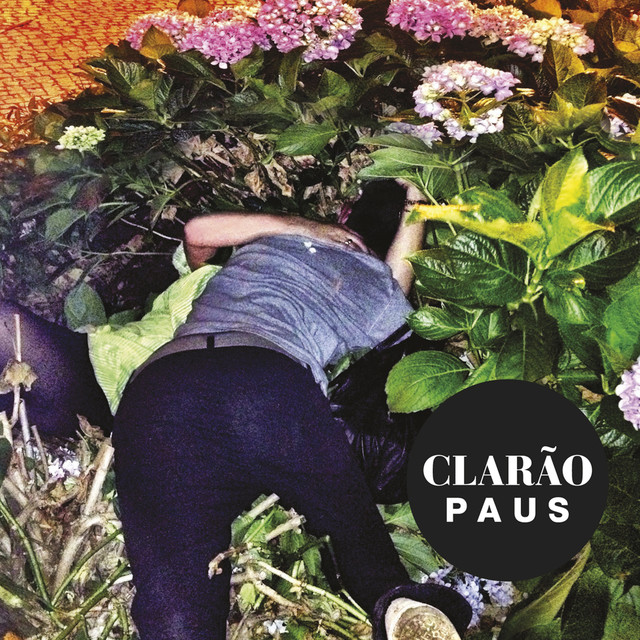 Clarão cover