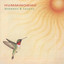 Hummingbird cover