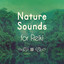 Nature Sounds for Reiki Albumcover
