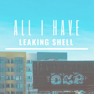 Leaking Shell Photo