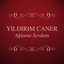 Ağlama Sevdam Albumcover