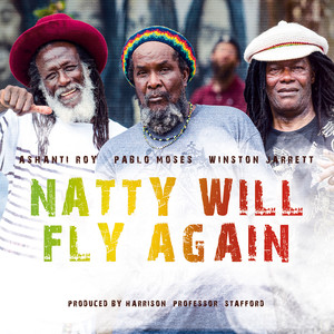 Natty Will Fly Again cover