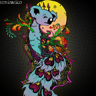 Spacey Koala Photo