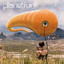 The Illogical Consequence cover