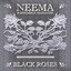 Black Roses Albumcover