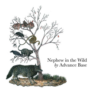 Nephew in the Wild cover