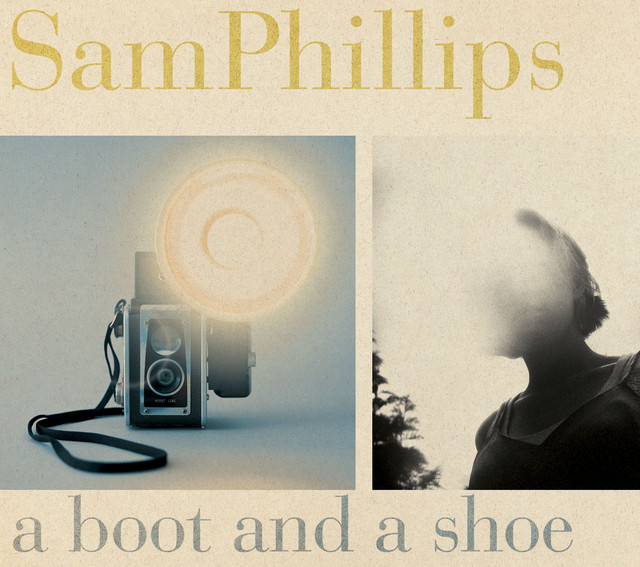 A Boot And A Shoe cover