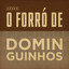 O Forró de Dominguinhos cover