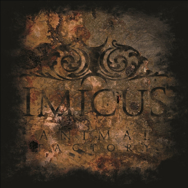 Imicus Photo
