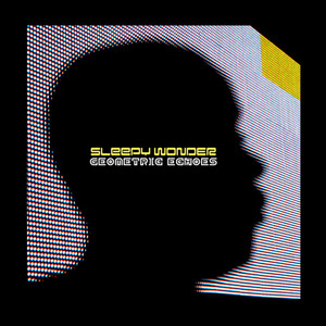 Geometric Echoes cover