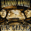 Er Mejo 1997-2010 Albumcover