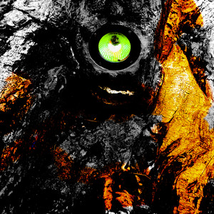 Code Noir cover
