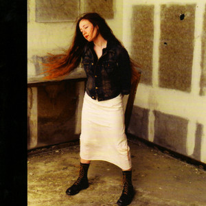 Boots cover