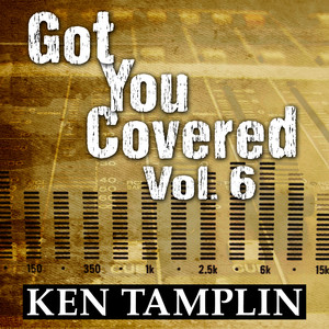 Got You Covered, Vol. 6 album