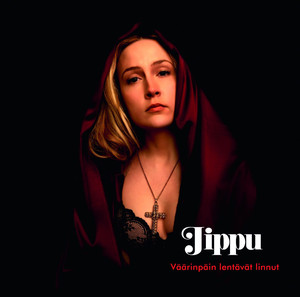 Väärinpäin lentävät linnut cover