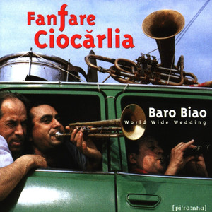 Baro Biao cover