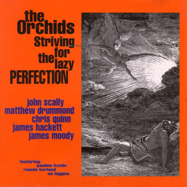 Striving For The Lazy Perfection cover