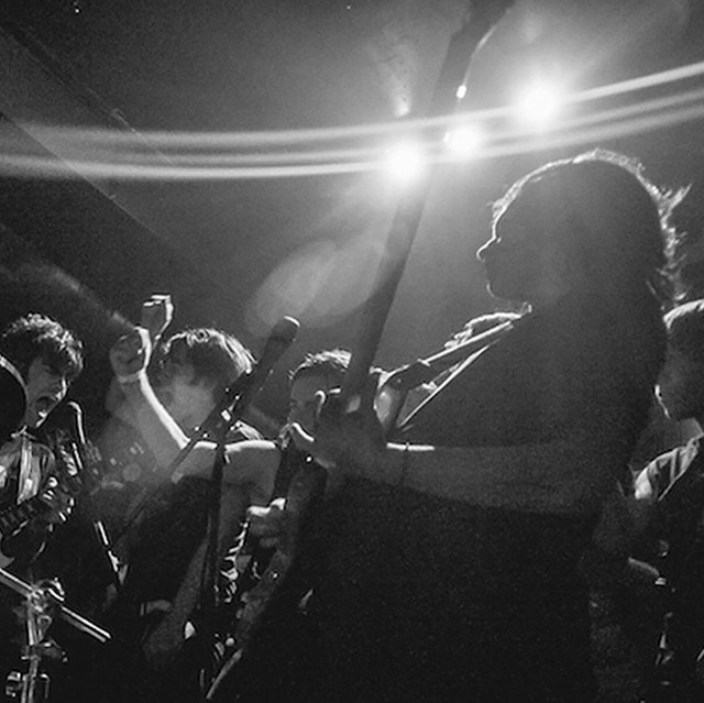 Ostraca photo