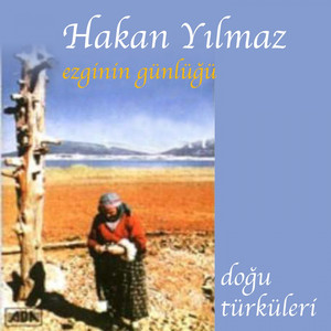 Doğu Türküleri cover