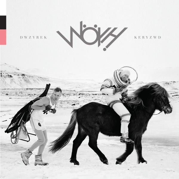 Dwzyrek cover