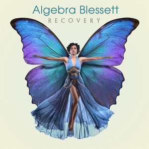 Recovery cover