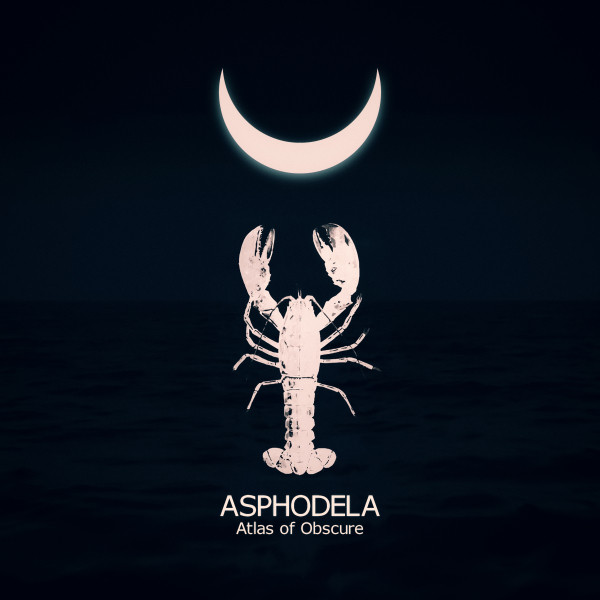 Asphodela Photo