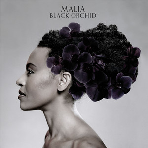 Black Orchid album