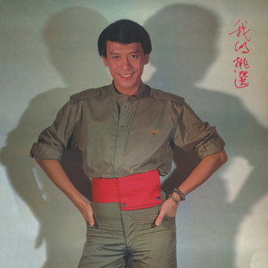 我的挑選 Albumcover