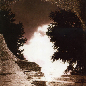 Feeding the Flame cover