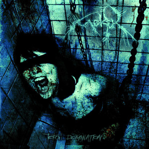 Total Domination cover