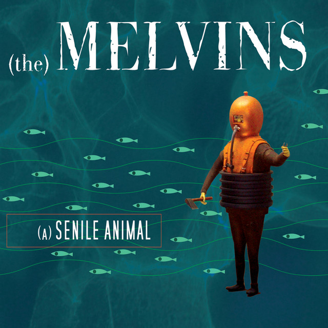 A Senile Animal cover