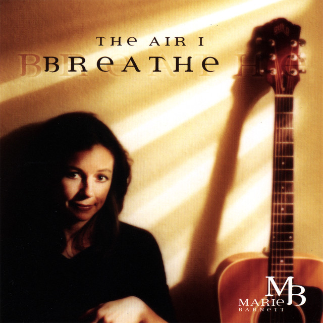 The Air I Breathe cover