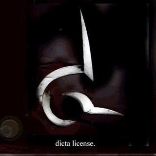 Dicta License Photo