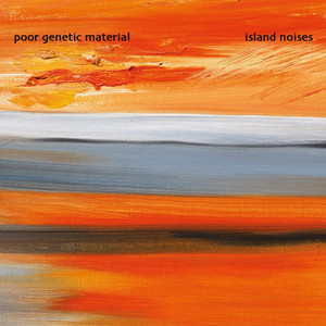 Island Noises cover