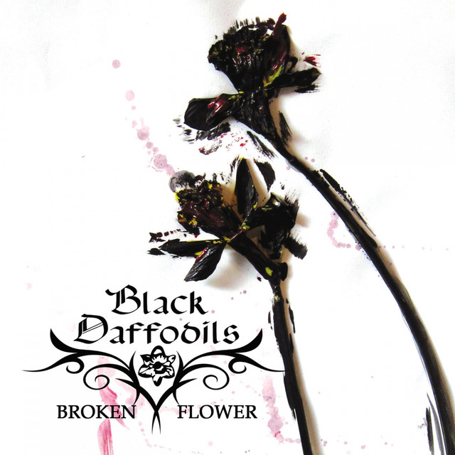 Black Daffodils Photo