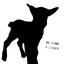 9 Lieder Albumcover